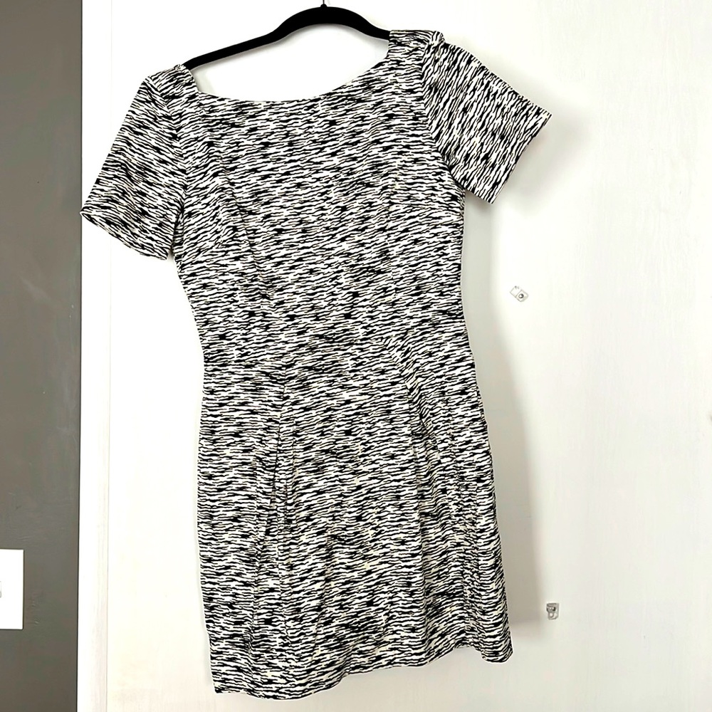 Mini dress zebra print